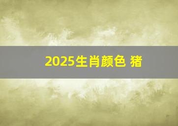 2025生肖颜色 猪